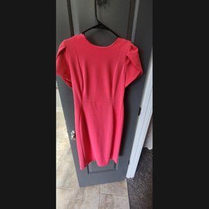 Calvin Klein Pink Dress Tulip Sleeves Pink